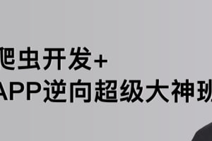 【路飞学城】爬虫开发+APP逆向超级大神班-03期 - 带源码课件-桔子资源网