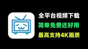 闪豆视频下载器 v4.0.0.0 安装版-橘子资源网